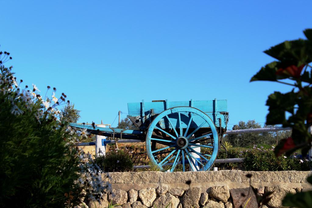 Quinta Ribeiro Tanquinhos Casa de Campo Tancos